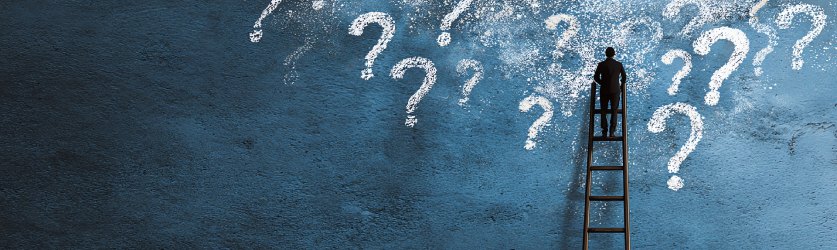 Questions for a Startup Mentor